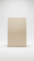 Ivory mist kraft paper bag